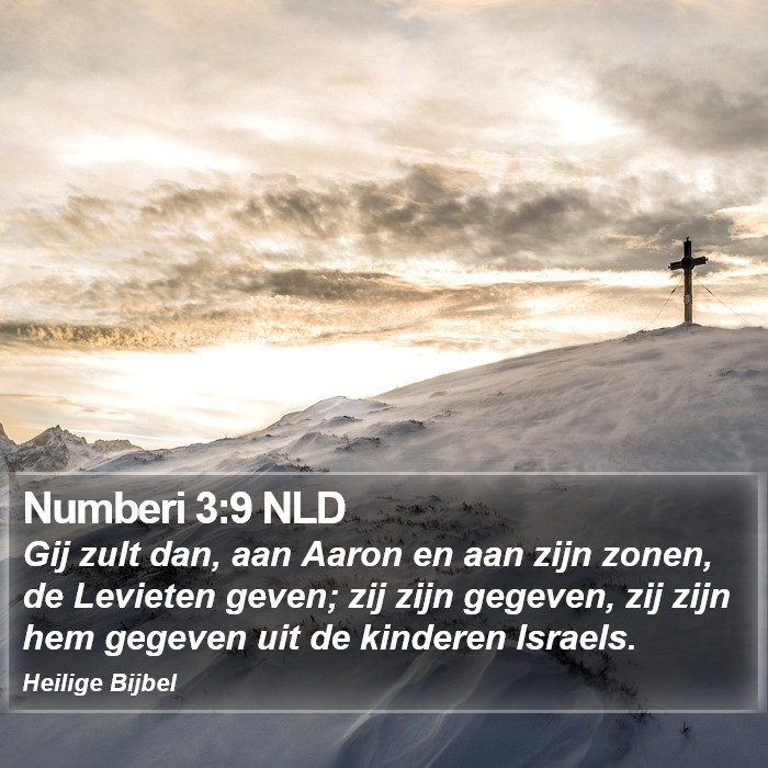 Numberi 3:9 NLD Bible Study