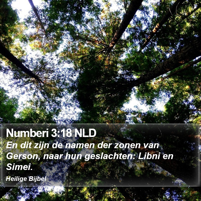 Numberi 3:18 NLD Bible Study