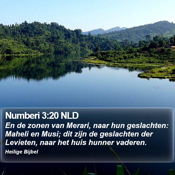 Numberi 3:20 NLD Bible Study