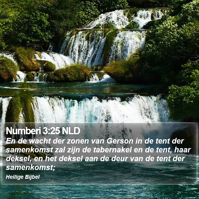 Numberi 3:25 NLD Bible Study