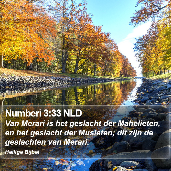 Numberi 3:33 NLD Bible Study