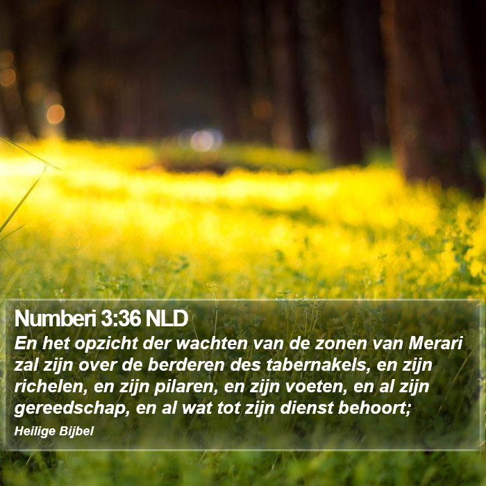 Numberi 3:36 NLD Bible Study