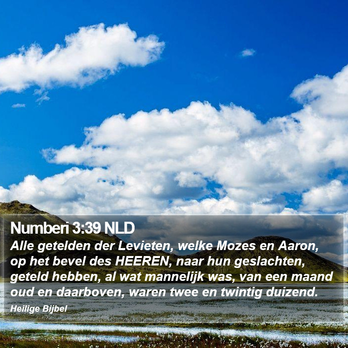 Numberi 3:39 NLD Bible Study