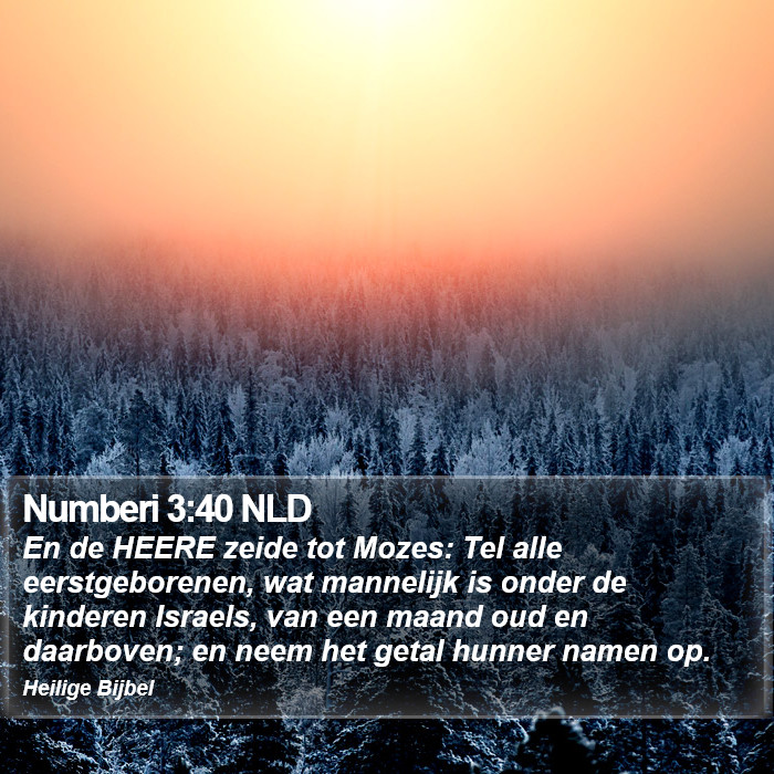 Numberi 3:40 NLD Bible Study