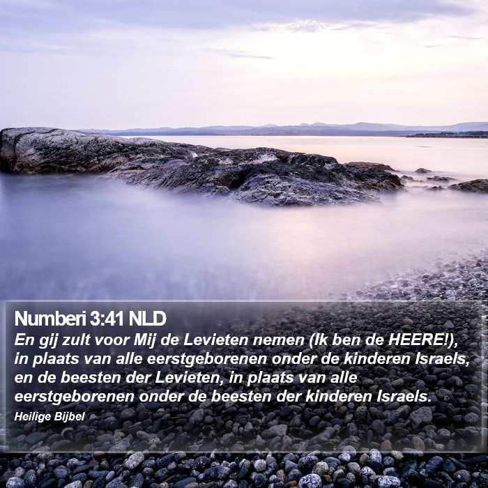 Numberi 3:41 NLD Bible Study
