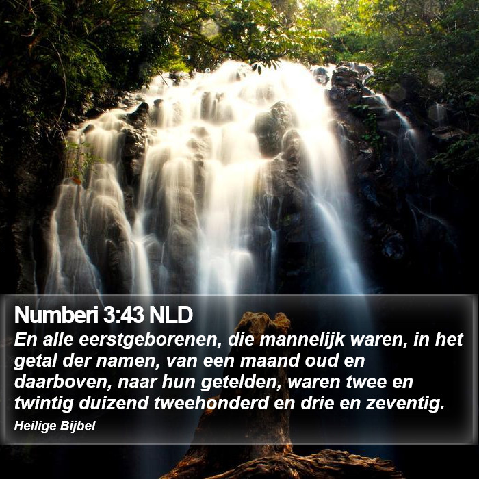 Numberi 3:43 NLD Bible Study