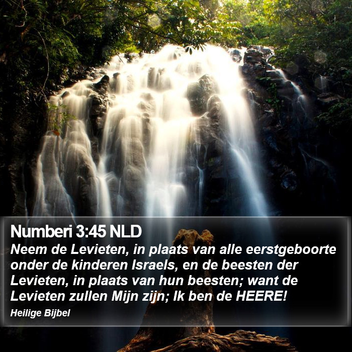 Numberi 3:45 NLD Bible Study