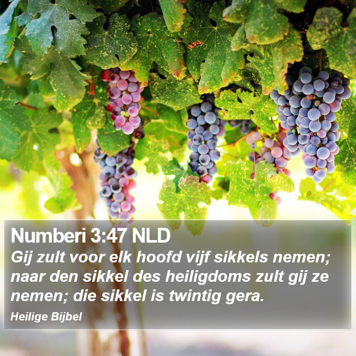 Numberi 3:47 NLD Bible Study