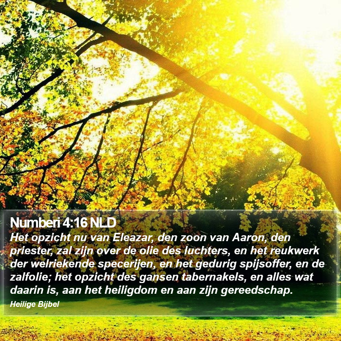 Numberi 4:16 NLD Bible Study