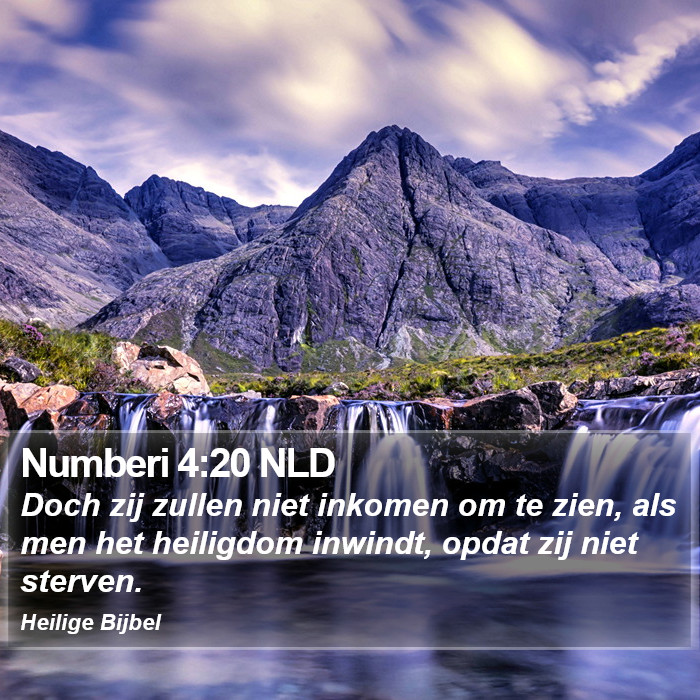 Numberi 4:20 NLD Bible Study