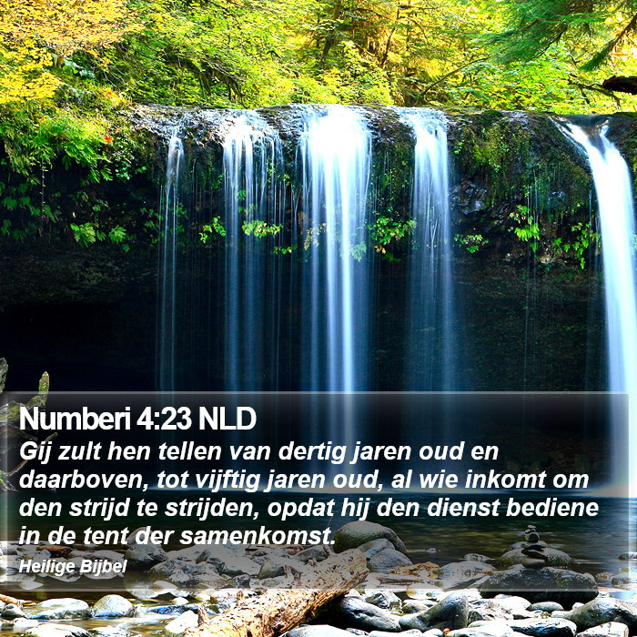 Numberi 4:23 NLD Bible Study
