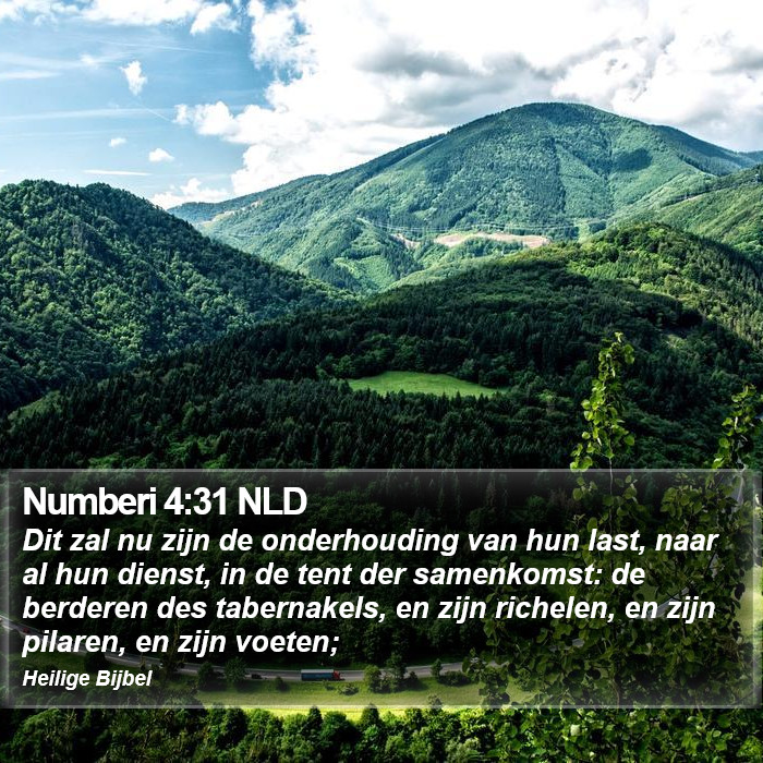 Numberi 4:31 NLD Bible Study