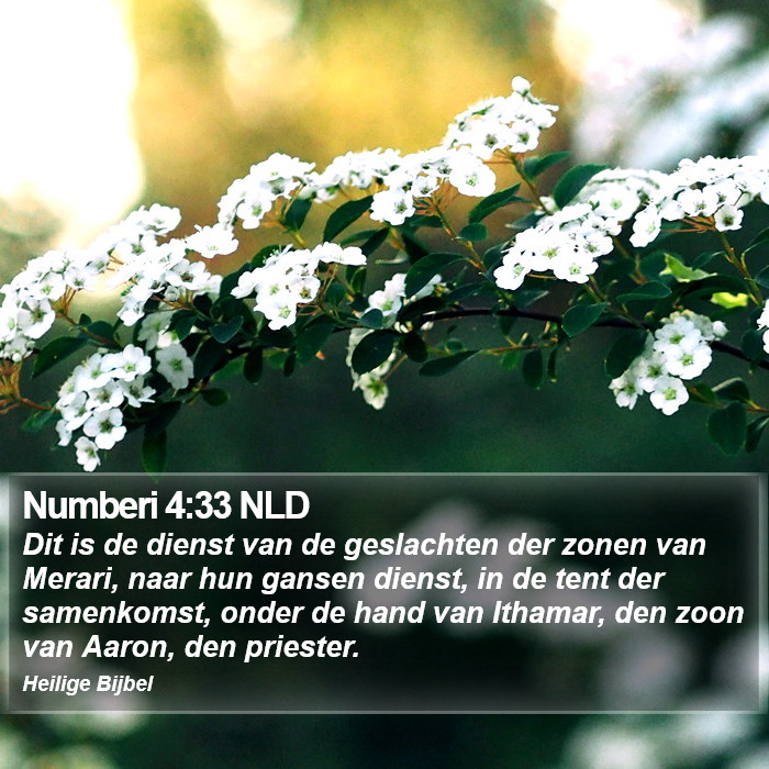 Numberi 4:33 NLD Bible Study