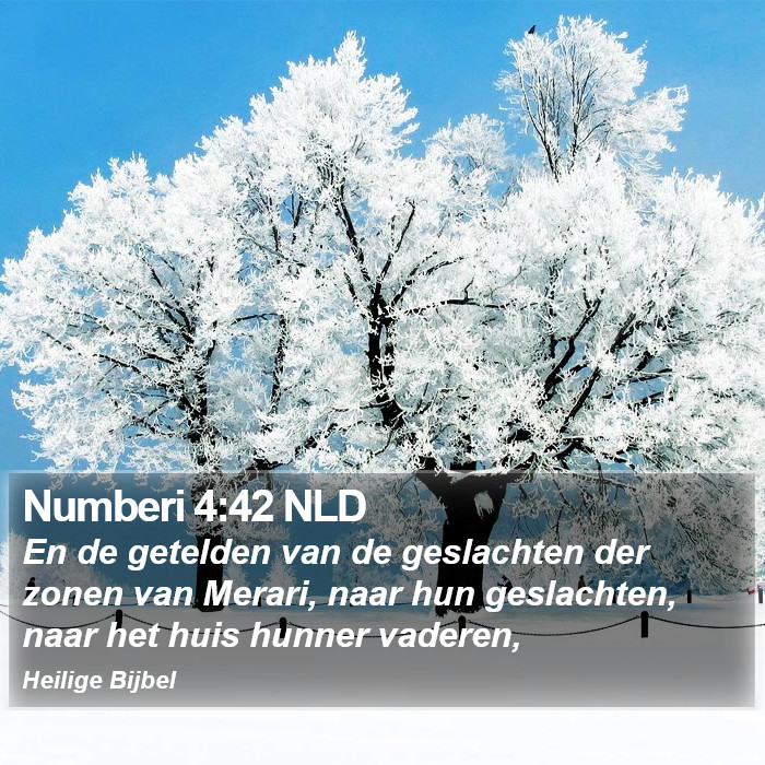 Numberi 4:42 NLD Bible Study
