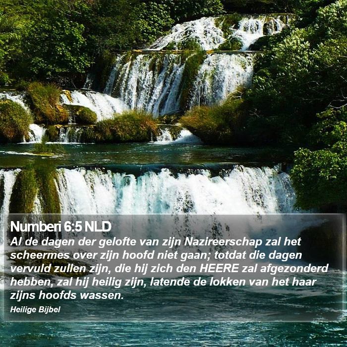 Numberi 6:5 NLD Bible Study