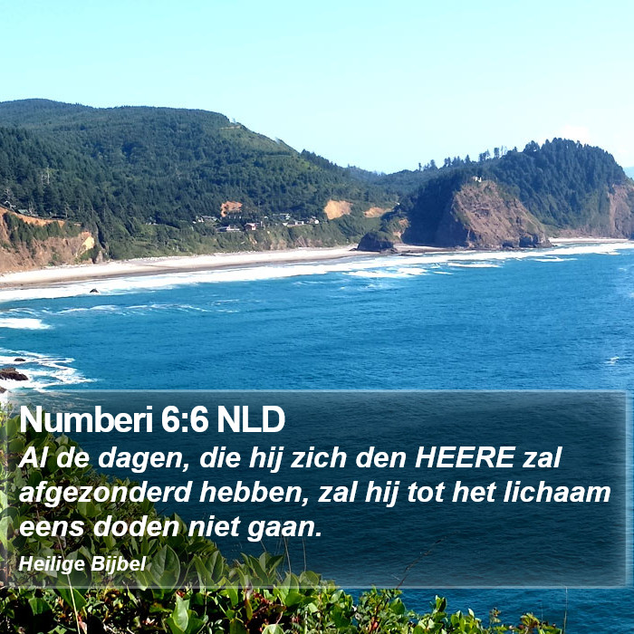 Numberi 6:6 NLD Bible Study