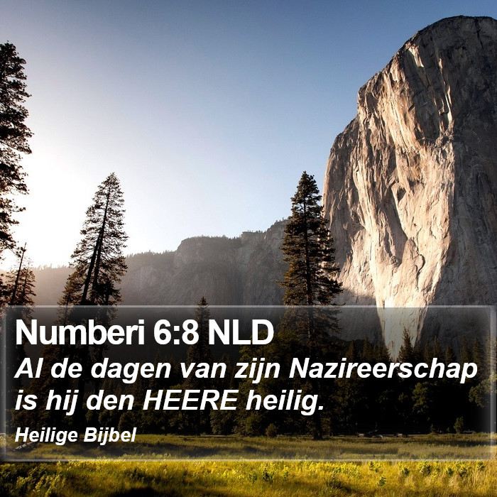 Numberi 6:8 NLD Bible Study