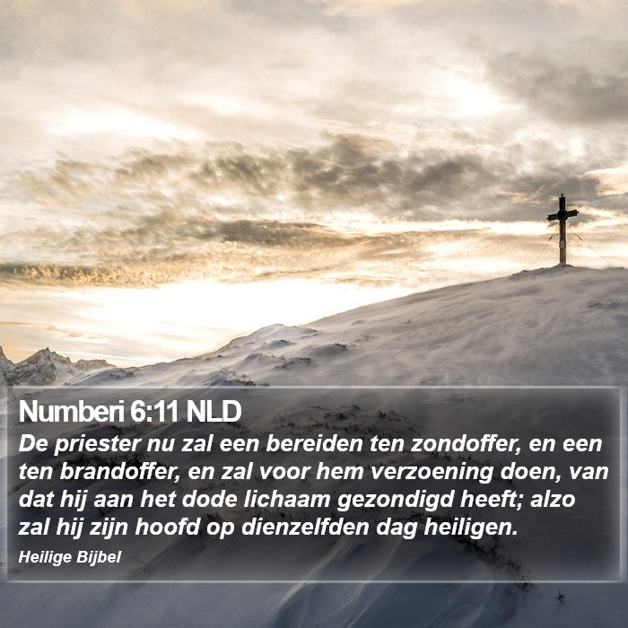 Numberi 6:11 NLD Bible Study