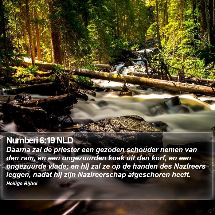 Numberi 6:19 NLD Bible Study