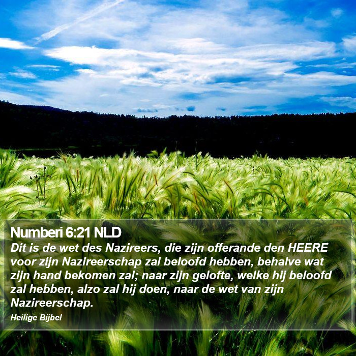 Numberi 6:21 NLD Bible Study