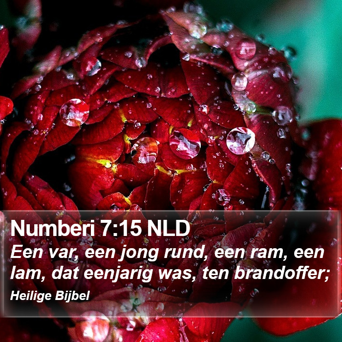 Numberi 7:15 NLD Bible Study