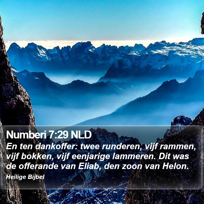 Numberi 7:29 NLD Bible Study