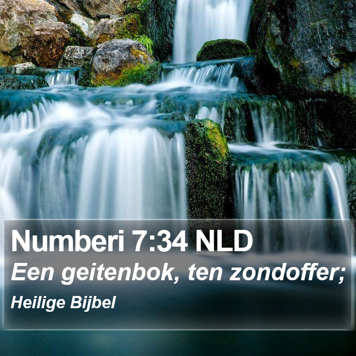 Numberi 7:34 NLD Bible Study