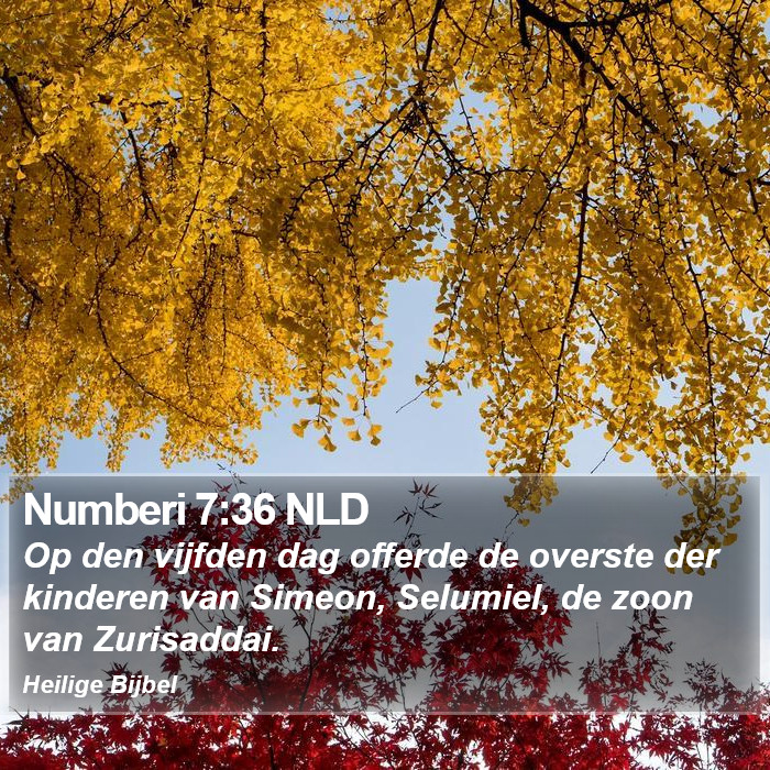 Numberi 7:36 NLD Bible Study