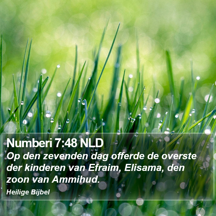 Numberi 7:48 NLD Bible Study