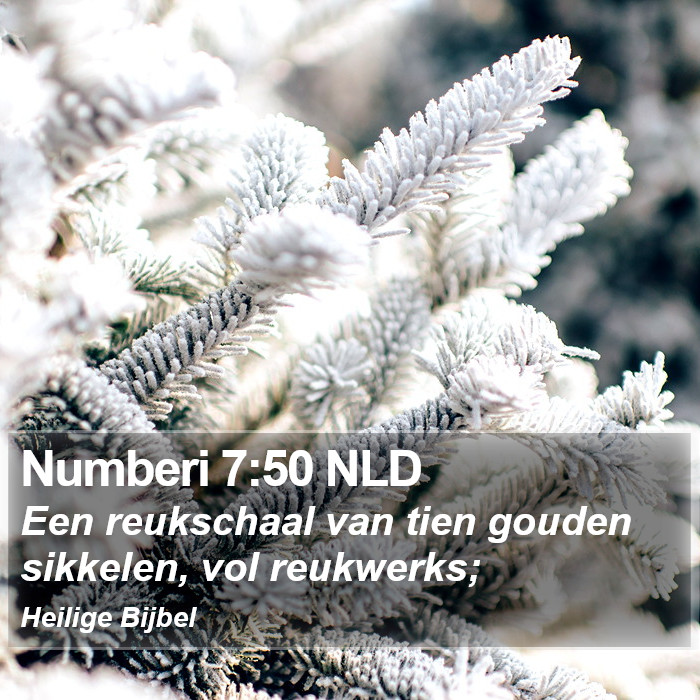 Numberi 7:50 NLD Bible Study