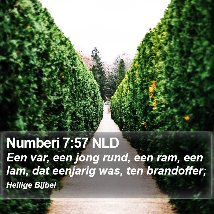 Numberi 7:57 NLD Bible Study
