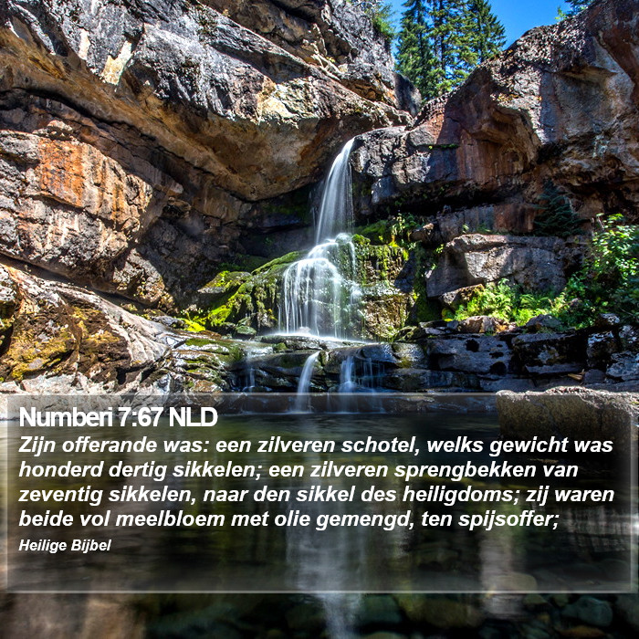 Numberi 7:67 NLD Bible Study