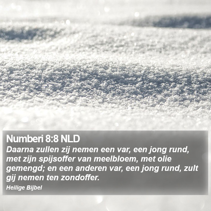 Numberi 8:8 NLD Bible Study