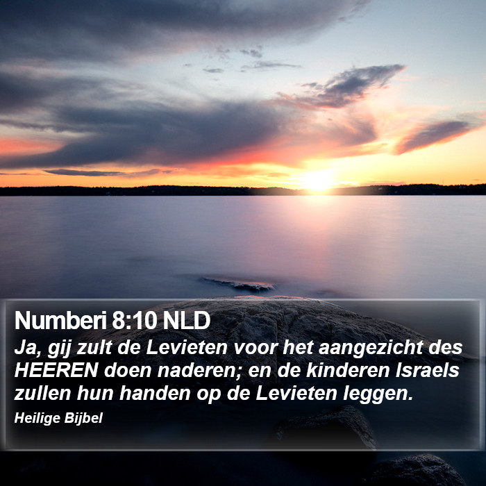 Numberi 8:10 NLD Bible Study