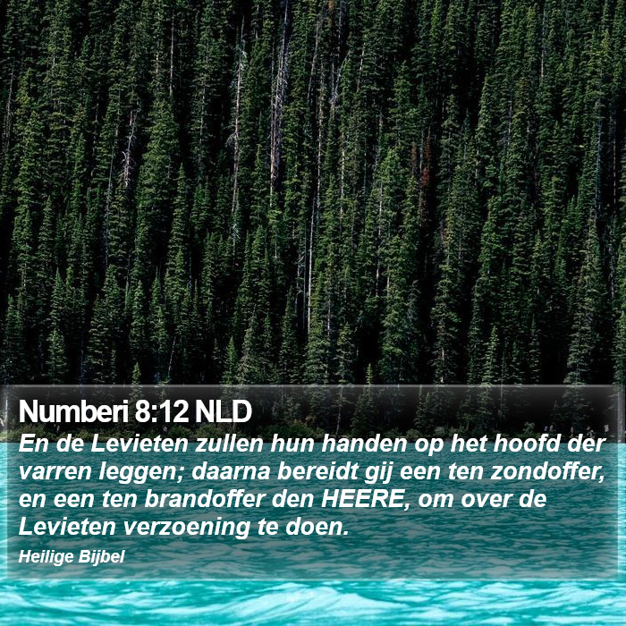 Numberi 8:12 NLD Bible Study