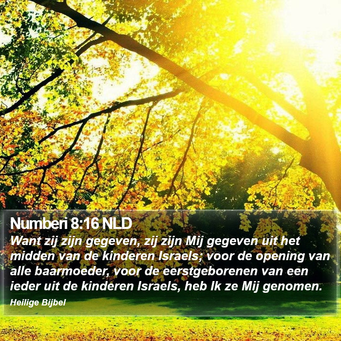 Numberi 8:16 NLD Bible Study