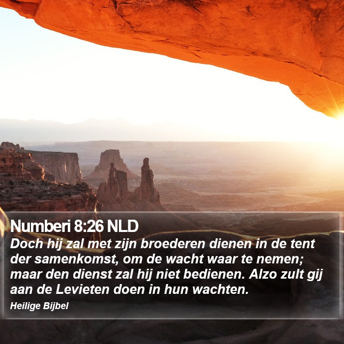 Numberi 8:26 NLD Bible Study