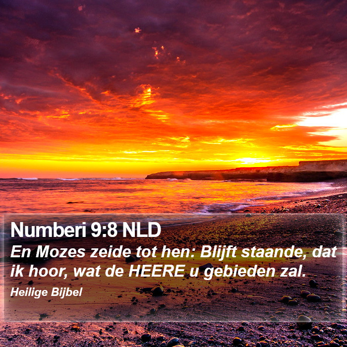 Numberi 9:8 NLD Bible Study