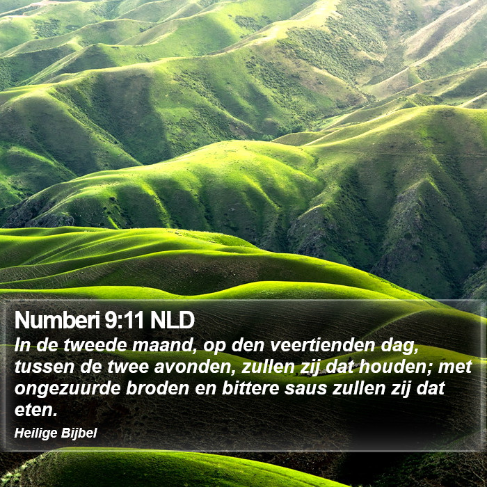 Numberi 9:11 NLD Bible Study