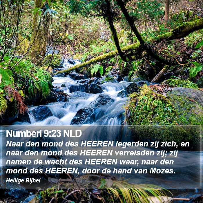 Numberi 9:23 NLD Bible Study