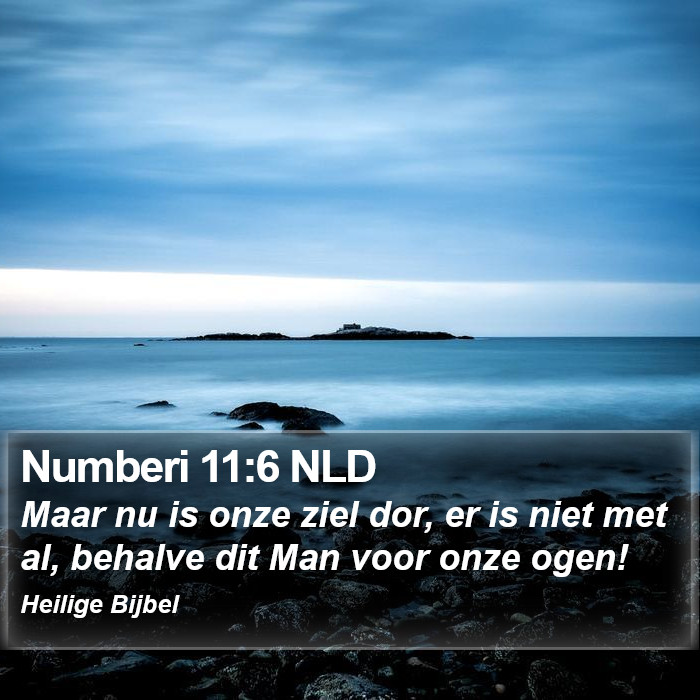 Numberi 11:6 NLD Bible Study