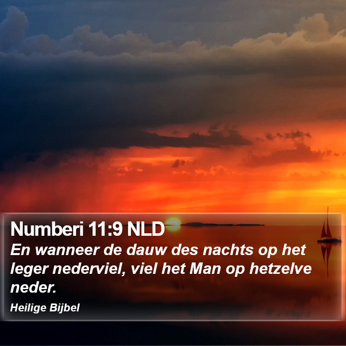 Numberi 11:9 NLD Bible Study