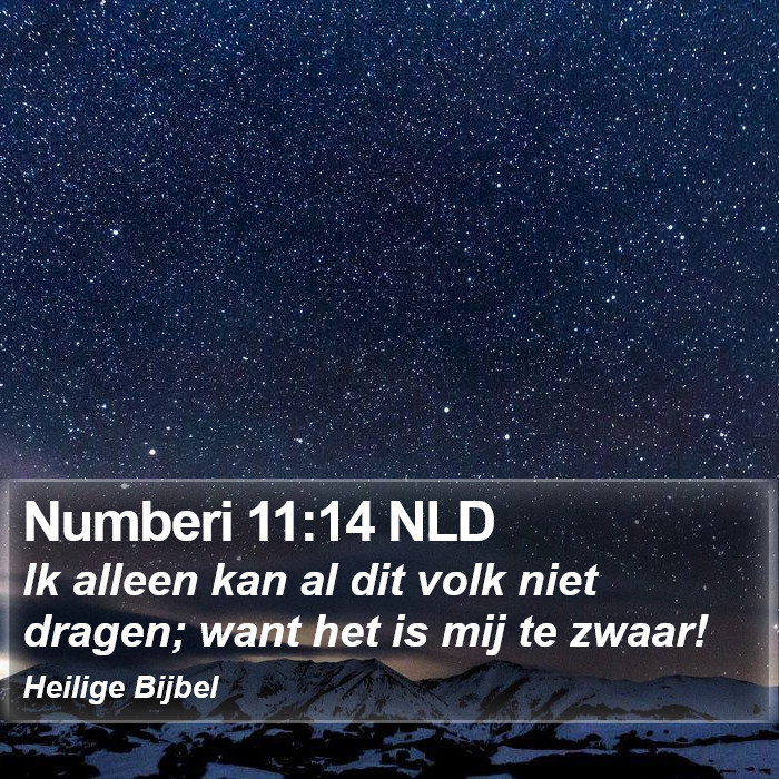 Numberi 11:14 NLD Bible Study