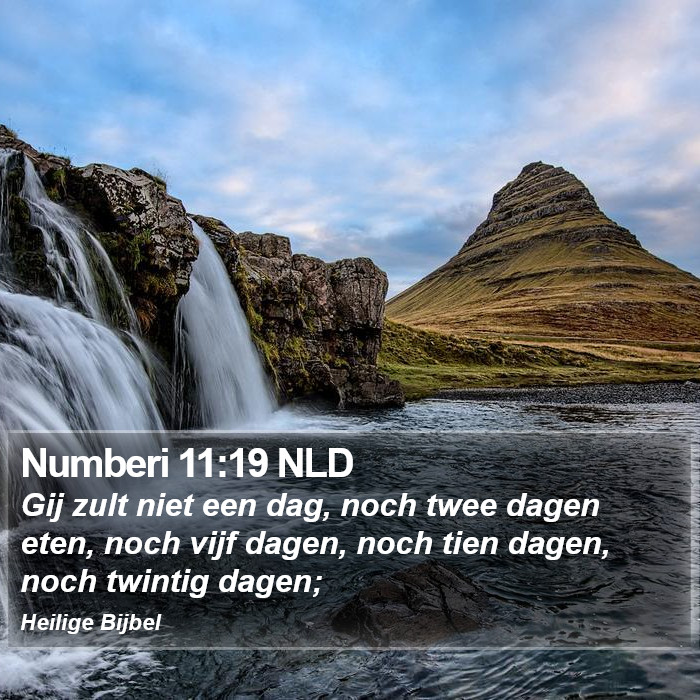 Numberi 11:19 NLD Bible Study