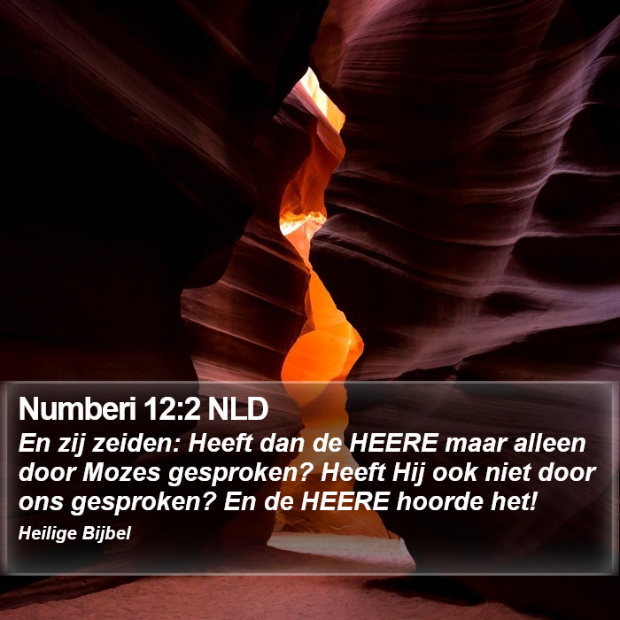Numberi 12:2 NLD Bible Study
