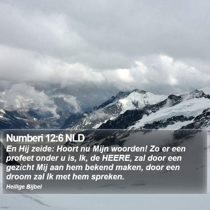 Numberi 12:6 NLD Bible Study