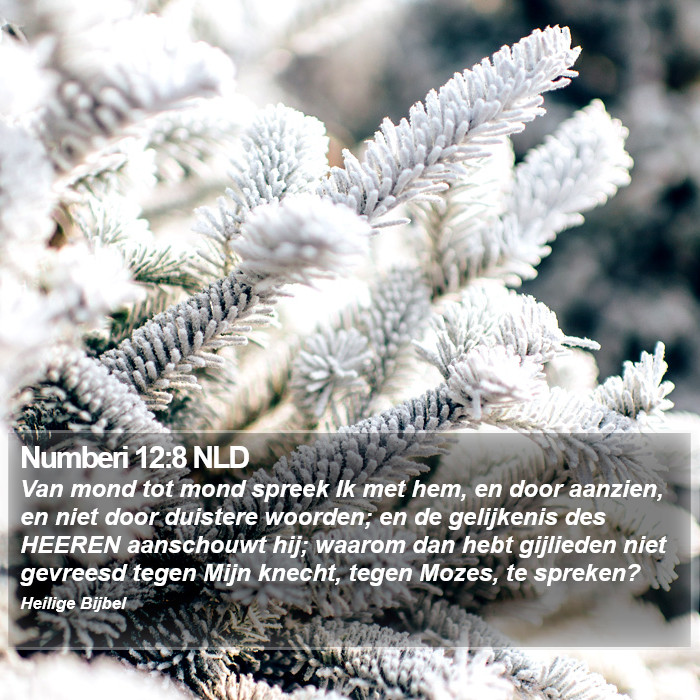 Numberi 12:8 NLD Bible Study