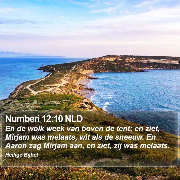 Numberi 12:10 NLD Bible Study