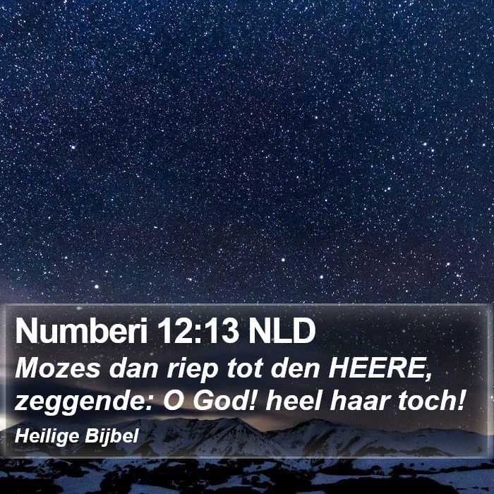Numberi 12:13 NLD Bible Study