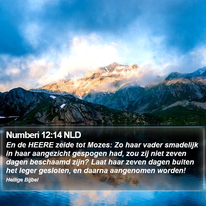 Numberi 12:14 NLD Bible Study